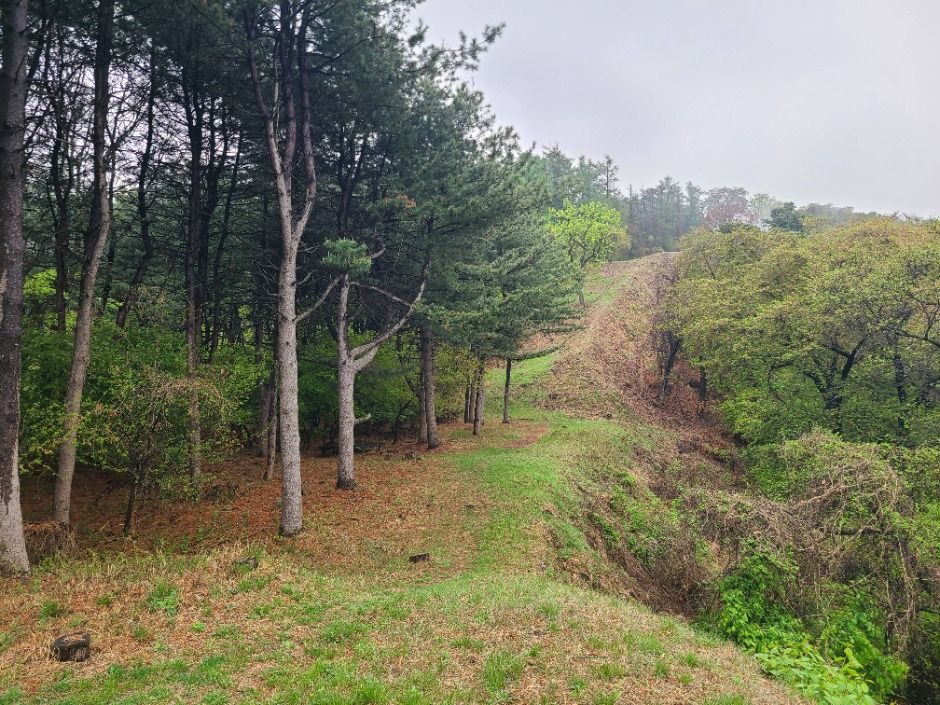 아차산성 여행 추천 - 메고지고 아차산성 여행 추천 - 메고지고