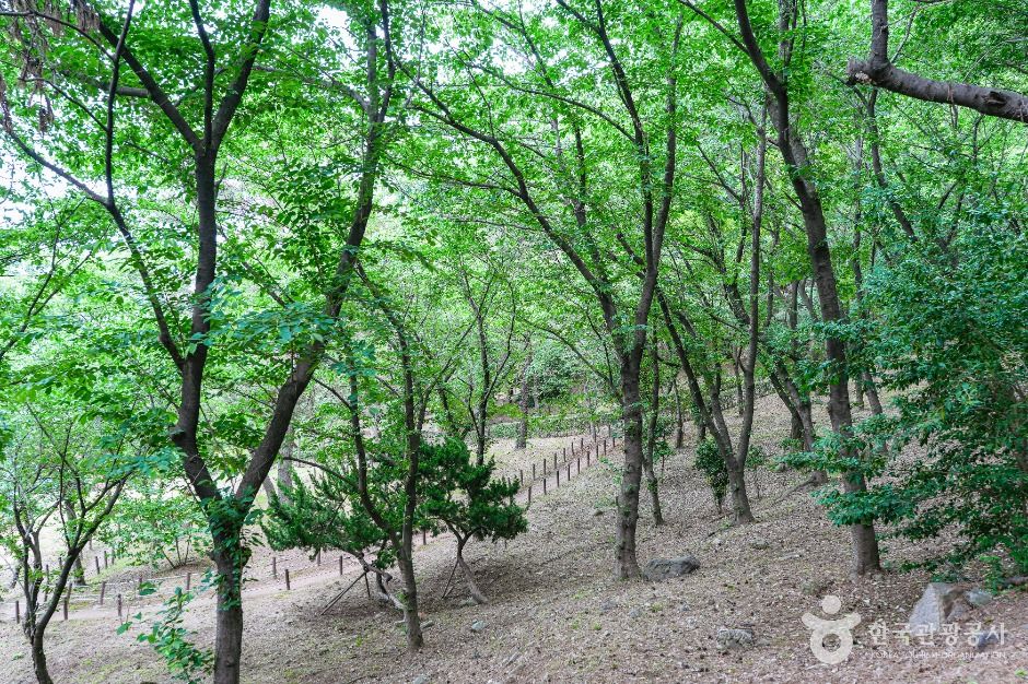 학성공원 여행 추천 - 메고지고 학성공원 여행 추천 - 메고지고