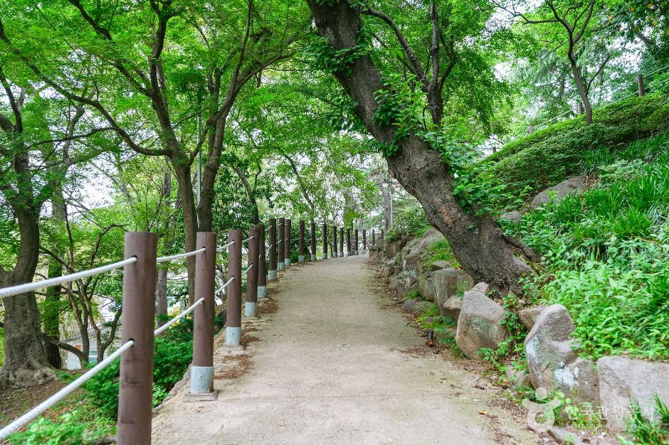 학성공원 여행 추천 - 메고지고 학성공원 여행 추천 - 메고지고