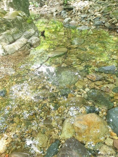 운장산(진안) 여행 추천 - 메고지고 운장산(진안) 여행 추천 - 메고지고