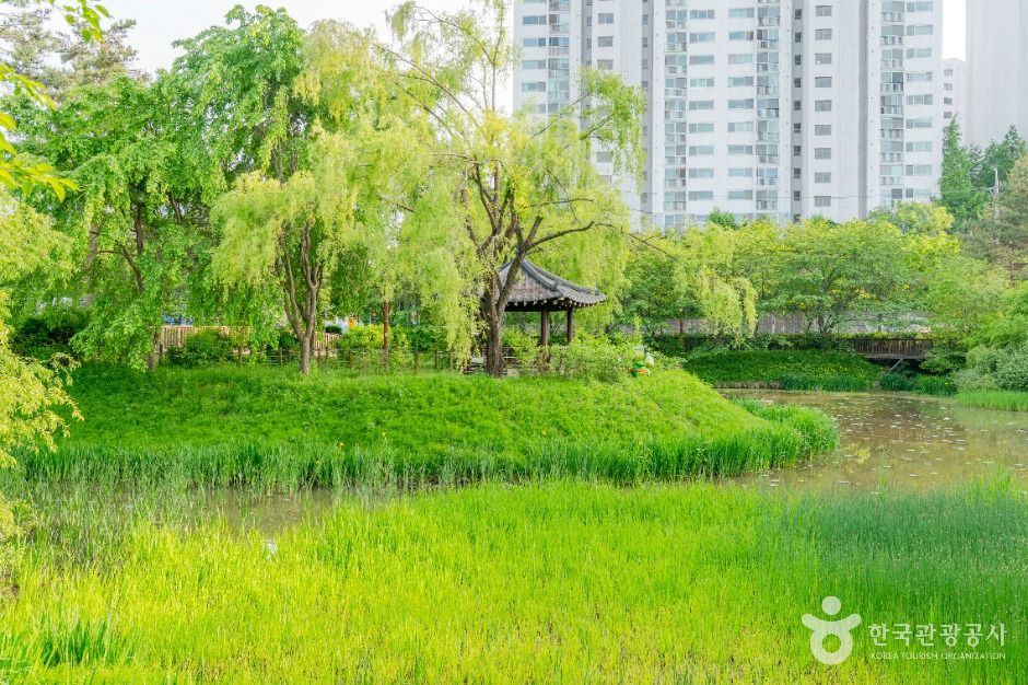 밤밭청개구리공원 여행 추천 - 메고지고 밤밭청개구리공원 여행 추천 - 메고지고