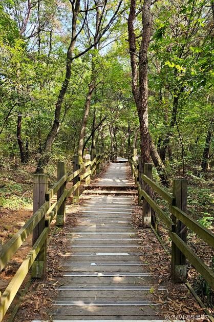 미륵산(익산) 여행 추천 - 메고지고 미륵산(익산) 여행 추천 - 메고지고