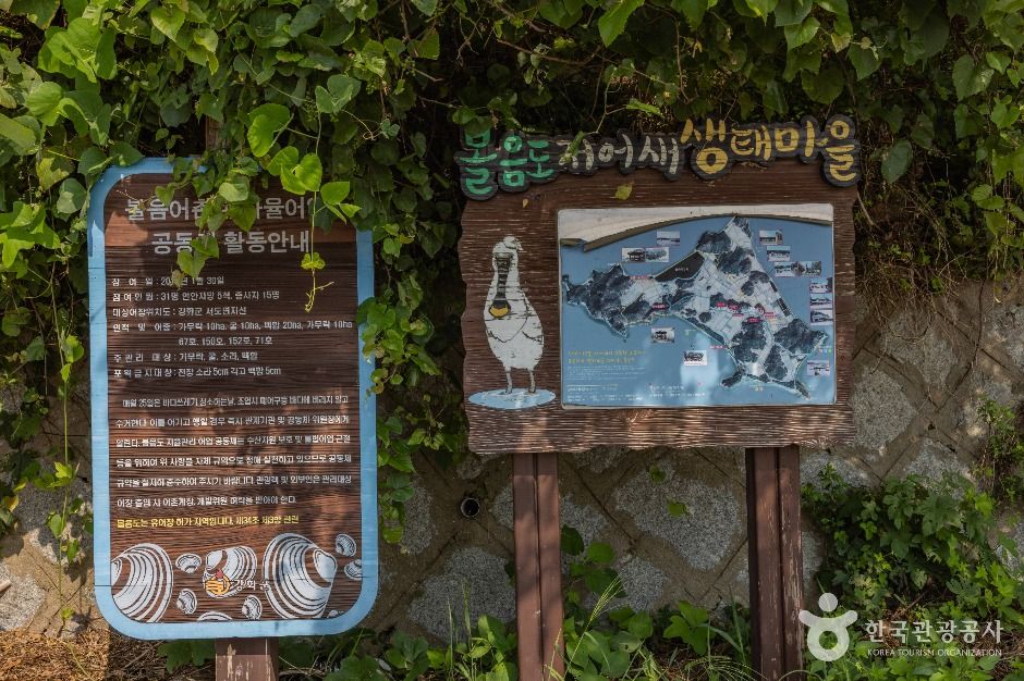 볼음도 여행 추천 - 메고지고