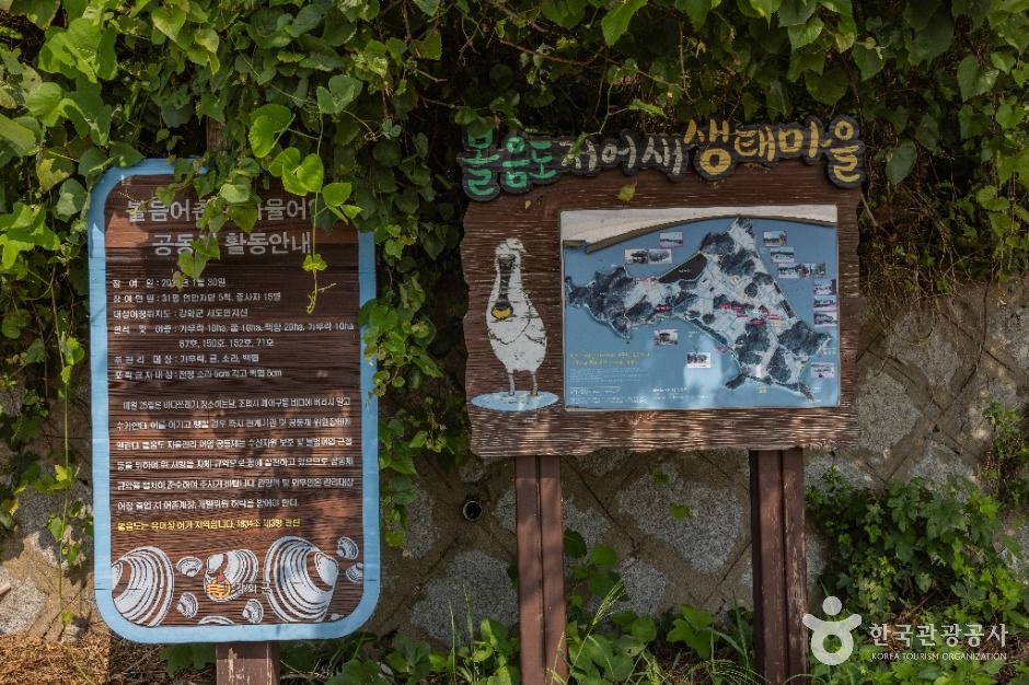 볼음도 여행 추천 - 메고지고