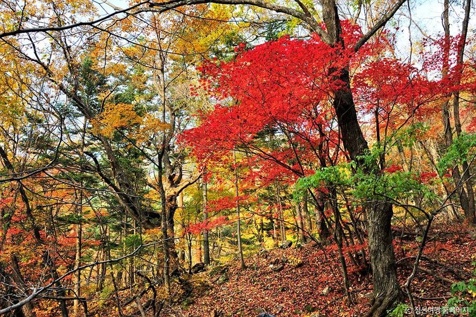 노추산 여행 추천 - 메고지고 노추산 여행 추천 - 메고지고