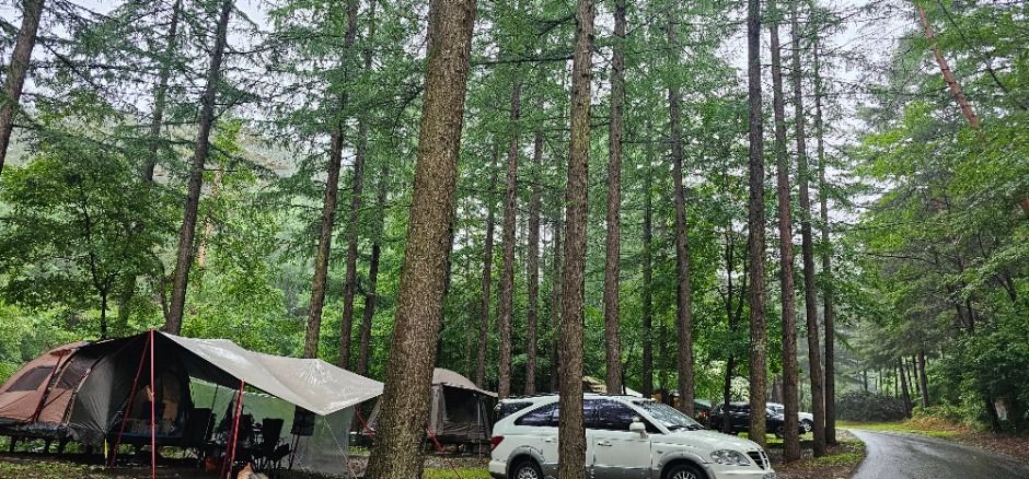 국립청옥산자연휴양림 여행 추천 - 메고지고 국립청옥산자연휴양림 여행 추천 - 메고지고