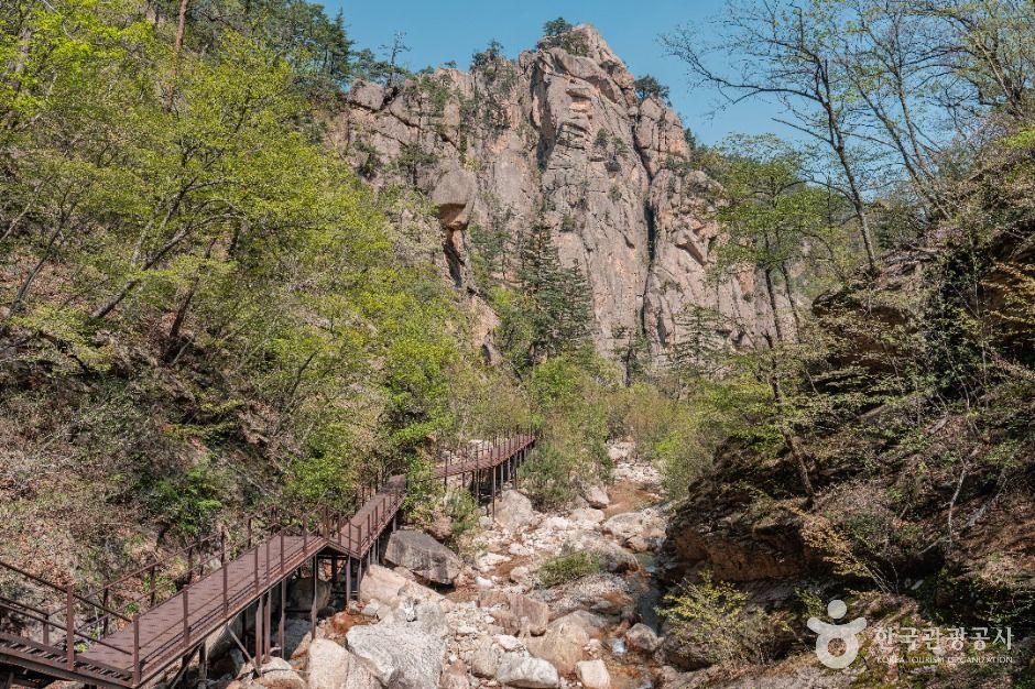설악산국립공원(남설악) 여행 추천 - 메고지고 설악산국립공원(남설악) 여행 추천 - 메고지고