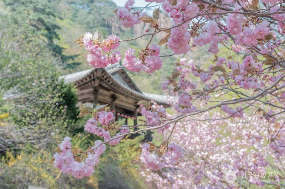 설악산국립공원(남설악) 여행 추천 - 메고지고 설악산국립공원(남설악) 여행 추천 - 메고지고