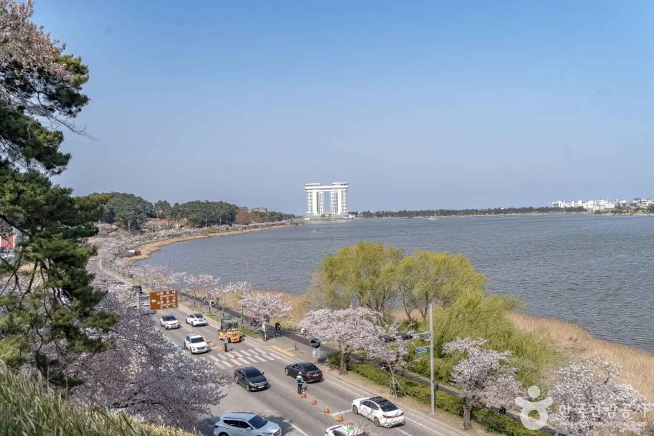 경포도립공원 여행 추천 - 메고지고 경포도립공원 여행 추천 - 메고지고