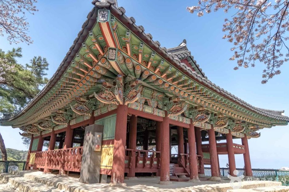 경포도립공원 여행 추천 - 메고지고 경포도립공원 여행 추천 - 메고지고