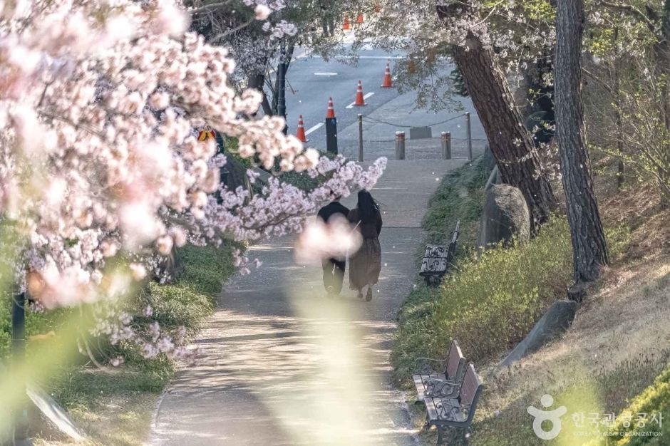 경포도립공원 여행 추천 - 메고지고 경포도립공원 여행 추천 - 메고지고