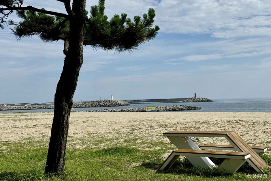 남항진해변(남항진해수욕장) 여행 추천 - 메고지고 남항진해변(남항진해수욕장) 여행 추천 - 메고지고