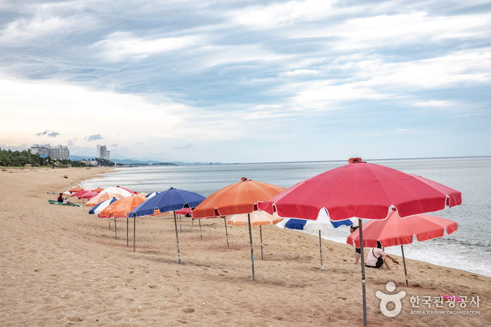 송정해변 여행 추천 - 메고지고 송정해변 여행 추천 - 메고지고