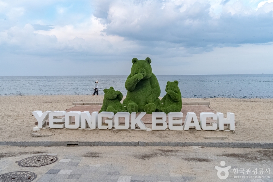 연곡해변(연곡해수욕장) 여행 추천 - 메고지고 연곡해변(연곡해수욕장) 여행 추천 - 메고지고