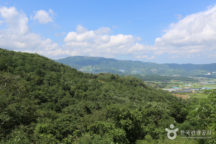 양구 펀치볼마을 (펀치볼) 여행 추천 - 메고지고