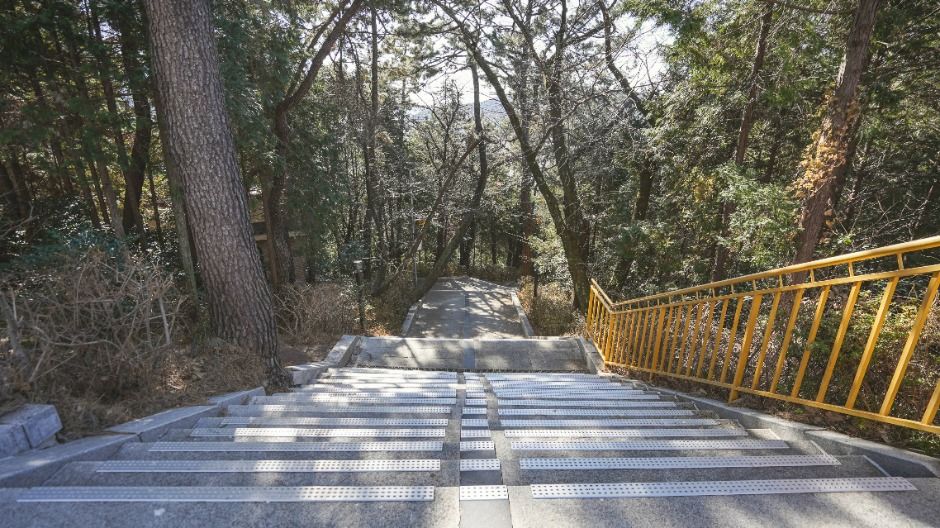 제황산공원 여행 추천 - 메고지고 제황산공원 여행 추천 - 메고지고