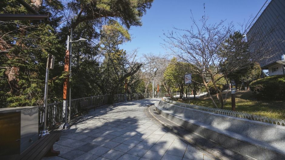 제황산공원 여행 추천 - 메고지고 제황산공원 여행 추천 - 메고지고