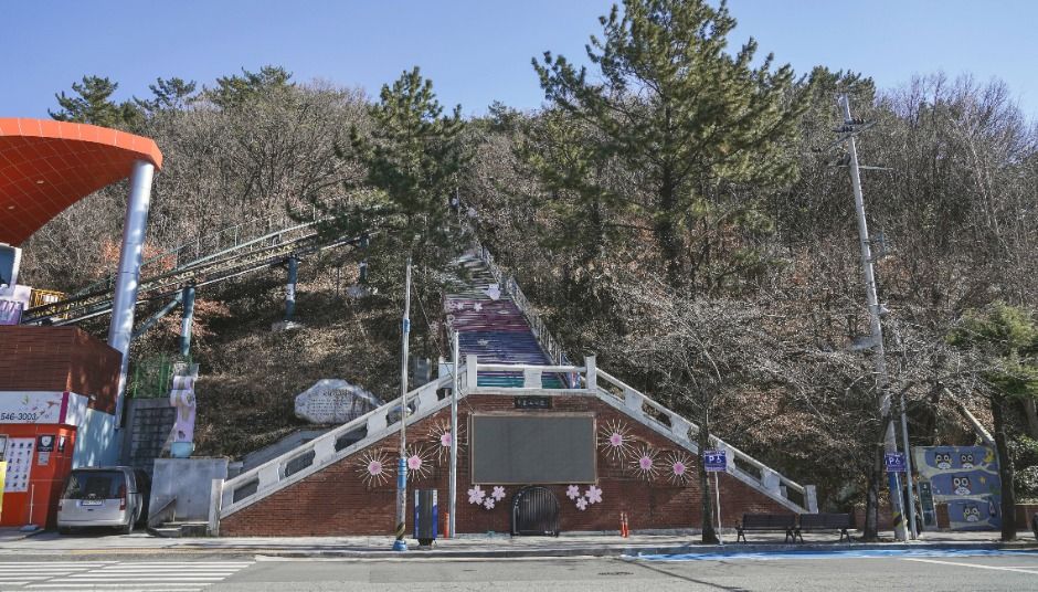 제황산공원 여행 추천 - 메고지고 제황산공원 여행 추천 - 메고지고