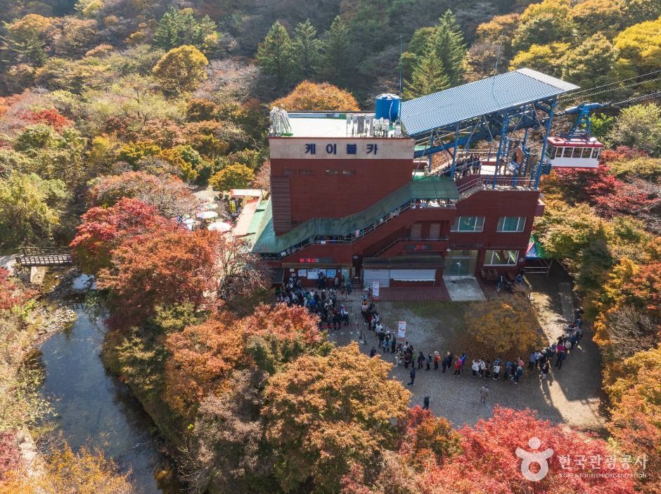 내장산국립공원 여행 추천 - 메고지고