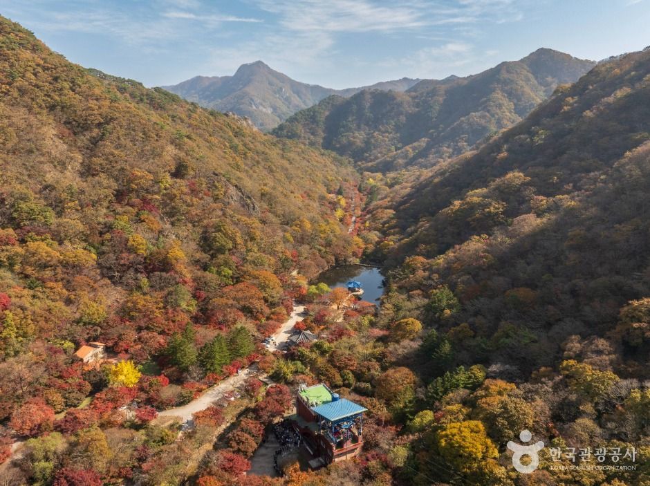 내장산국립공원 여행 추천 - 메고지고