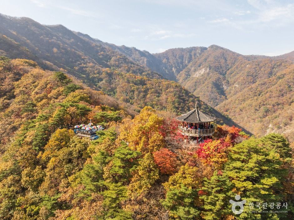 내장산국립공원 여행 추천 - 메고지고