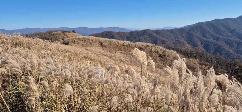 장안산군립공원 여행 추천 - 메고지고 장안산군립공원 여행 추천 - 메고지고
