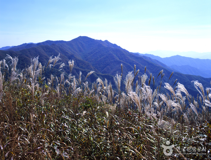장안산군립공원 여행 추천 - 메고지고 장안산군립공원 여행 추천 - 메고지고