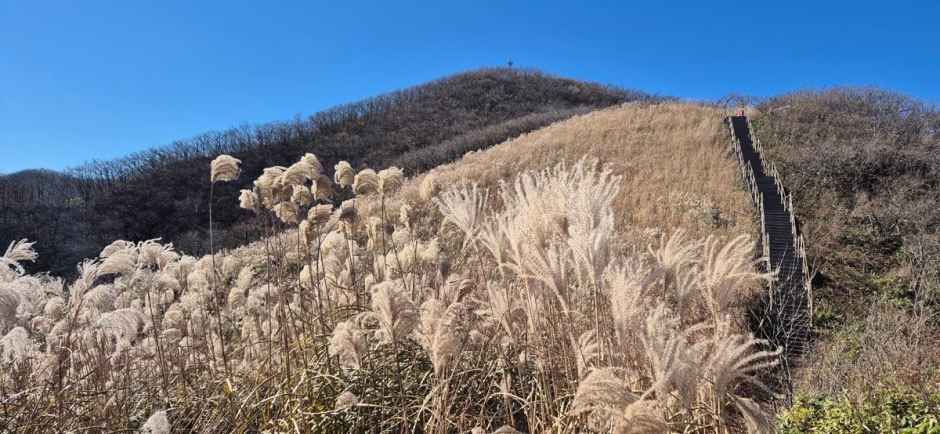장안산군립공원 여행 추천 - 메고지고 장안산군립공원 여행 추천 - 메고지고