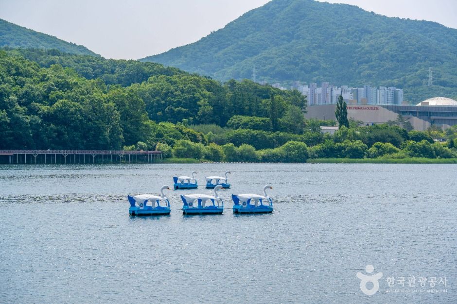 백운호수 여행 추천 - 메고지고 백운호수 여행 추천 - 메고지고