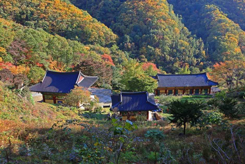 영원사(원주) 여행 추천 - 메고지고