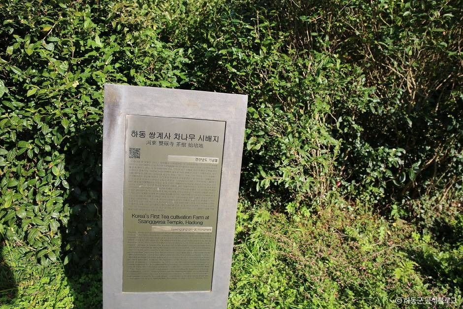 쌍계사차나무시배지 여행 추천 - 메고지고 쌍계사차나무시배지 여행 추천 - 메고지고