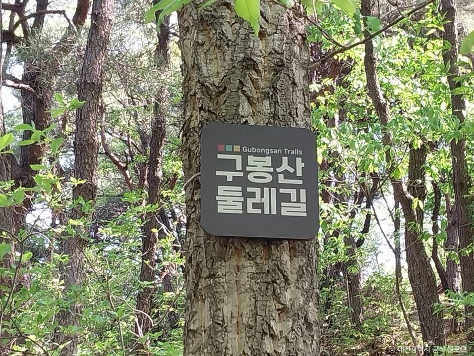 구봉산(대전) 여행 추천 - 메고지고