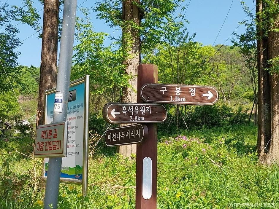 구봉산(대전) 여행 추천 - 메고지고