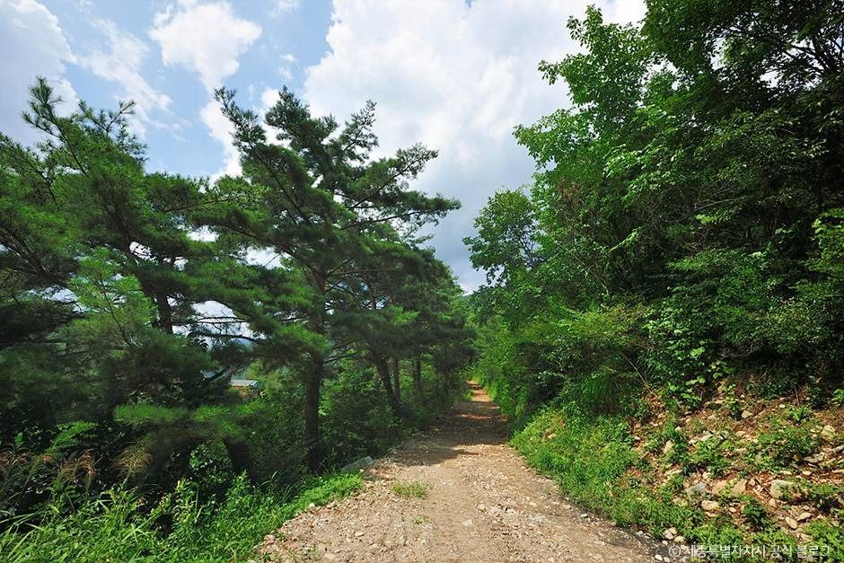 백석봉(정선) 여행 추천 - 메고지고 백석봉(정선) 여행 추천 - 메고지고