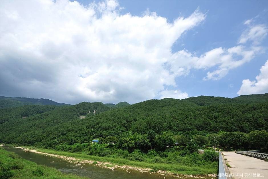 백석봉(정선) 여행 추천 - 메고지고 백석봉(정선) 여행 추천 - 메고지고