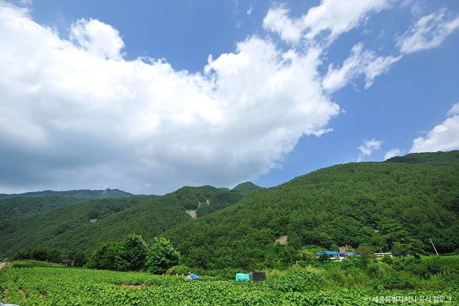 백석봉(정선) 여행 추천 - 메고지고 백석봉(정선) 여행 추천 - 메고지고