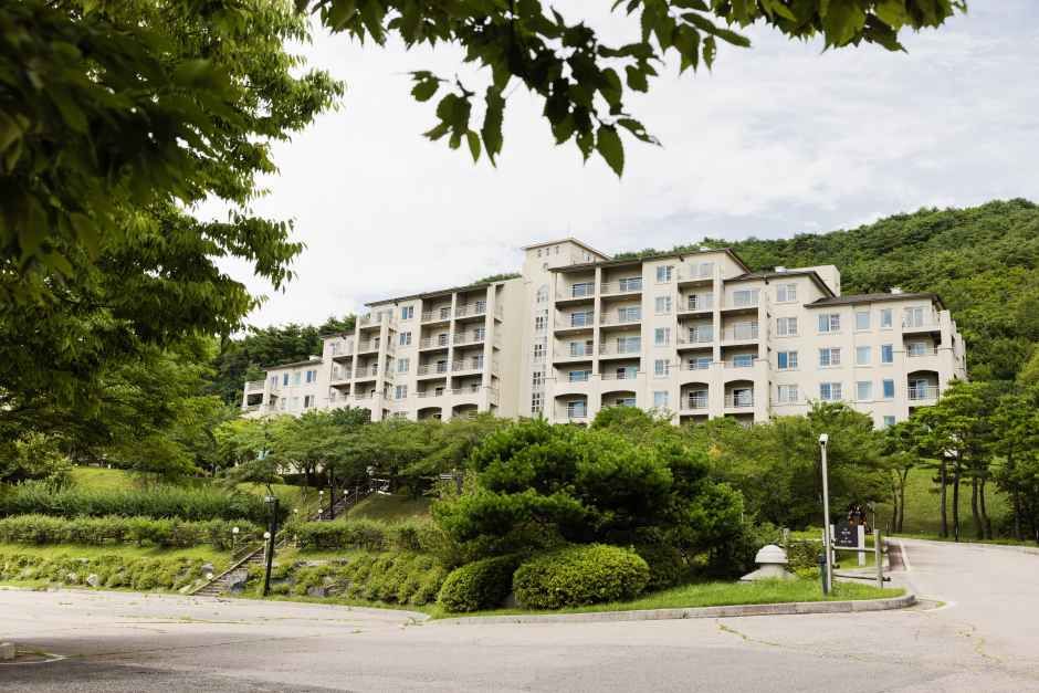 마우나오션리조트 블루 워터 여행 추천 - 메고지고 마우나오션리조트 블루 워터 여행 추천 - 메고지고