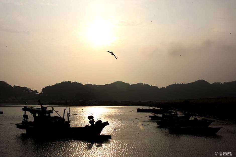 울도 여행 추천 - 메고지고 울도 여행 추천 - 메고지고