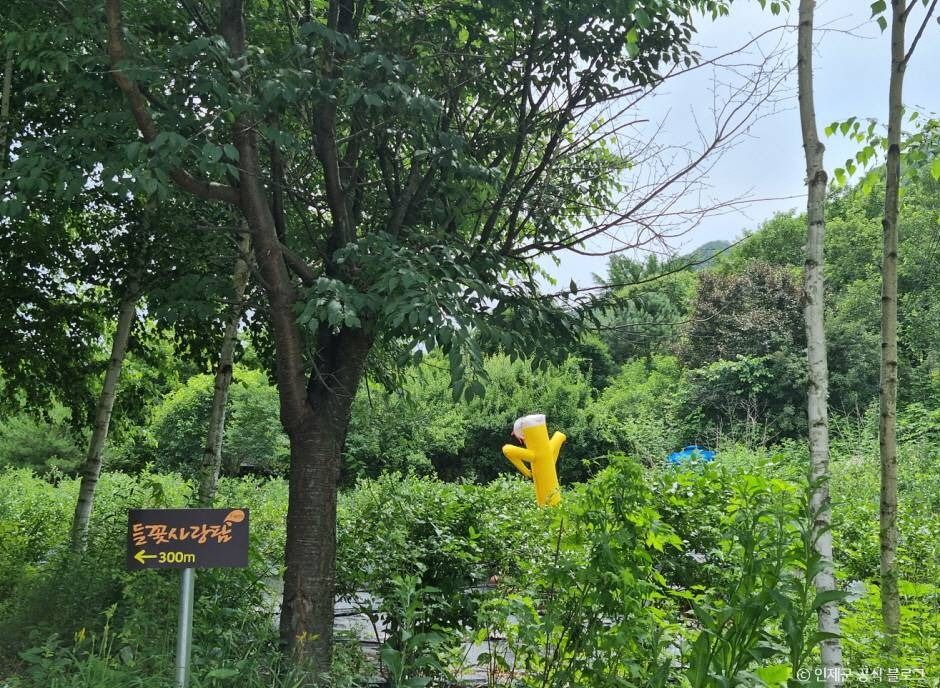 인제 냇강마을 여행 추천 - 메고지고