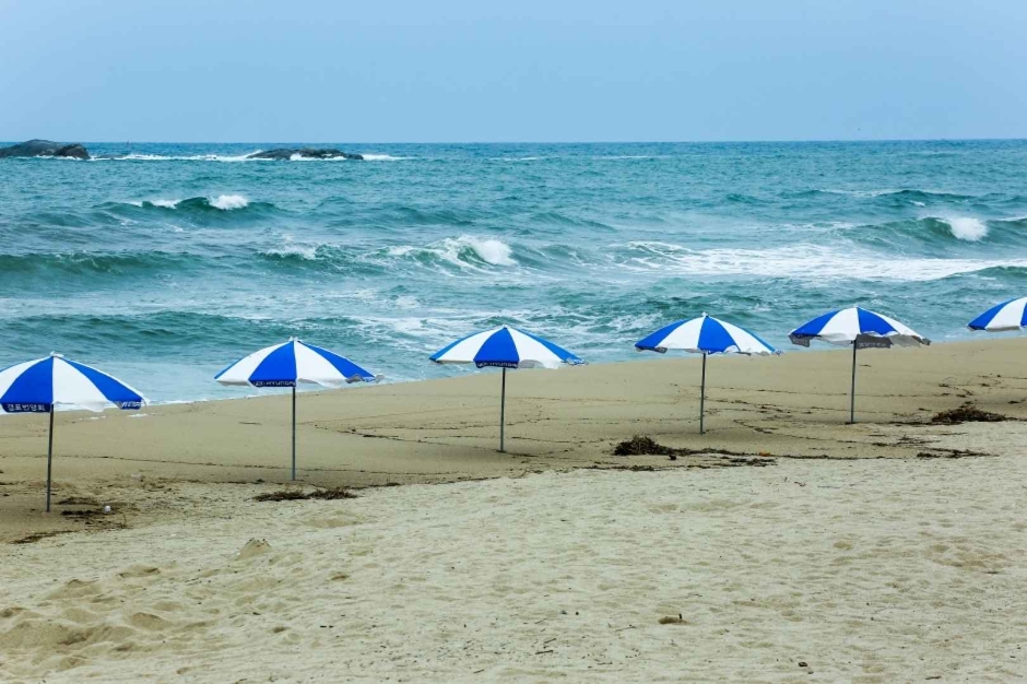 사근진해변(사근진해수욕장) 여행 추천 - 메고지고 사근진해변(사근진해수욕장) 여행 추천 - 메고지고