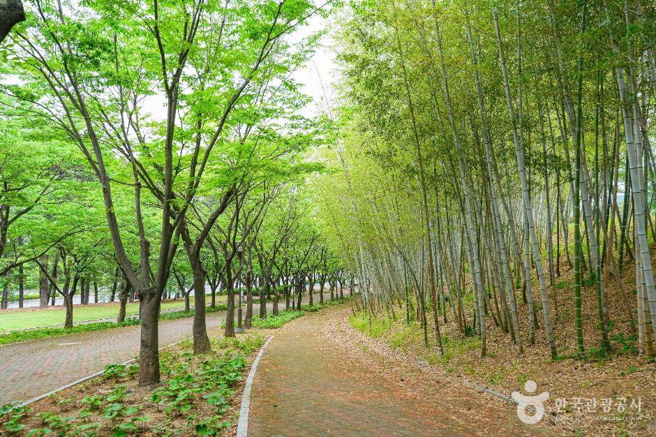 울산체육공원 여행 추천 - 메고지고 울산체육공원 여행 추천 - 메고지고