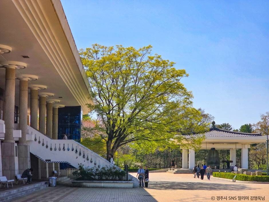 국립경주박물관 여행 추천 - 메고지고 국립경주박물관 여행 추천 - 메고지고