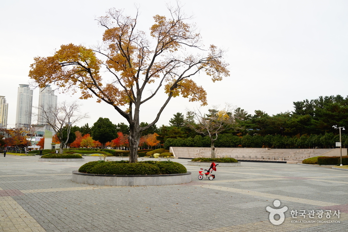 울산광역시남구문화원 여행 추천 - 메고지고 울산광역시남구문화원 여행 추천 - 메고지고