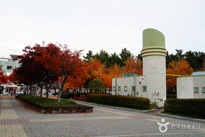 울산광역시남구문화원 여행 추천 - 메고지고 울산광역시남구문화원 여행 추천 - 메고지고