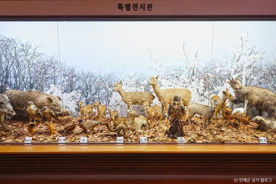 인제산촌민속박물관 여행 추천 - 메고지고 인제산촌민속박물관 여행 추천 - 메고지고