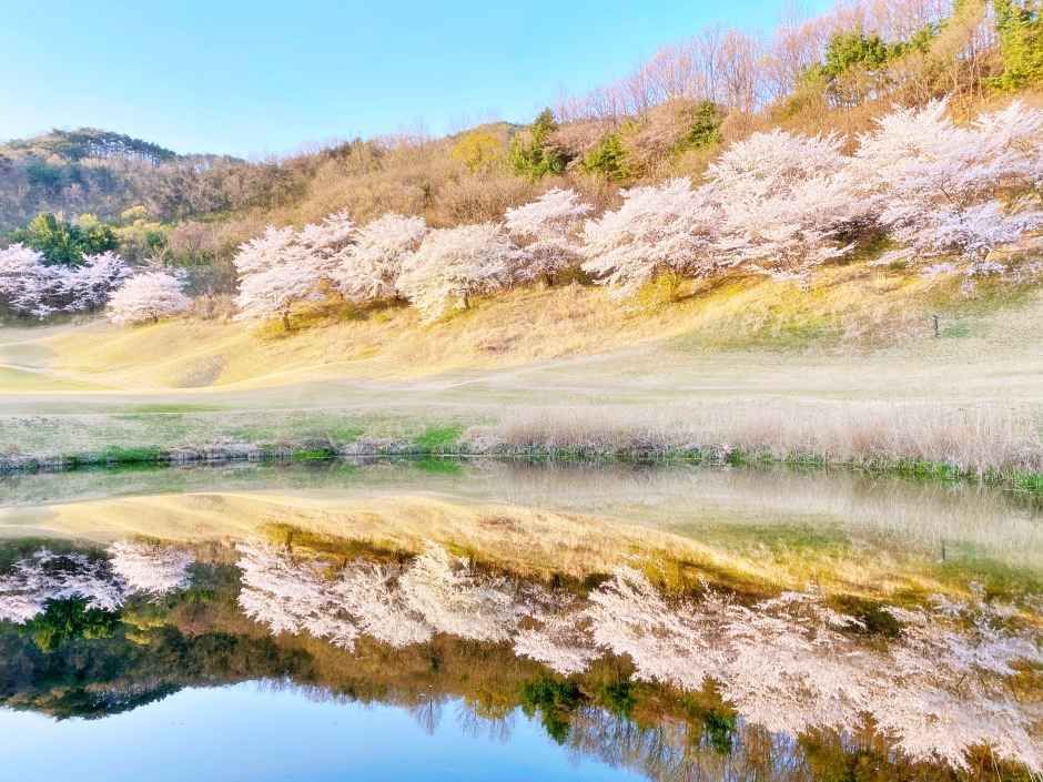 안성베네스트 골프클럽 여행 추천 - 메고지고