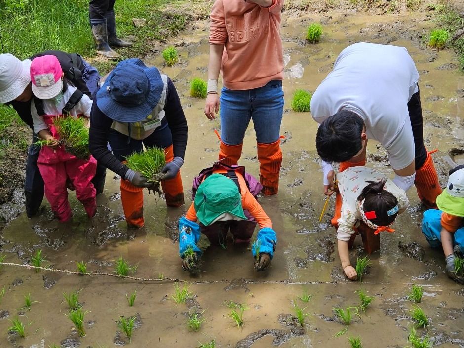 맹산반딧불이자연학교 여행 추천 - 메고지고 맹산반딧불이자연학교 여행 추천 - 메고지고