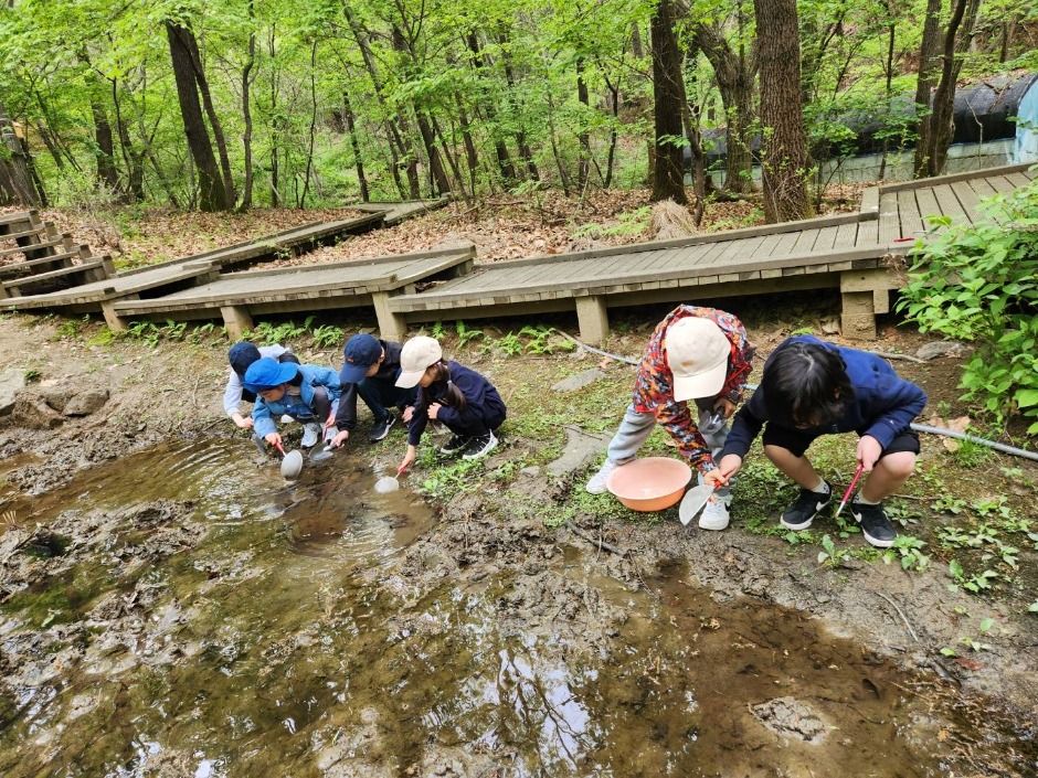 맹산반딧불이자연학교 여행 추천 - 메고지고 맹산반딧불이자연학교 여행 추천 - 메고지고