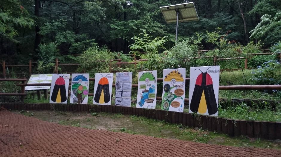 맹산반딧불이자연학교 여행 추천 - 메고지고 맹산반딧불이자연학교 여행 추천 - 메고지고