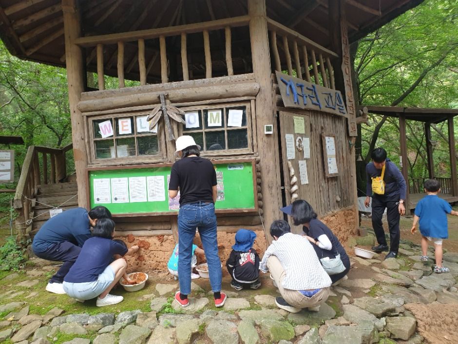 맹산반딧불이자연학교 여행 추천 - 메고지고 맹산반딧불이자연학교 여행 추천 - 메고지고
